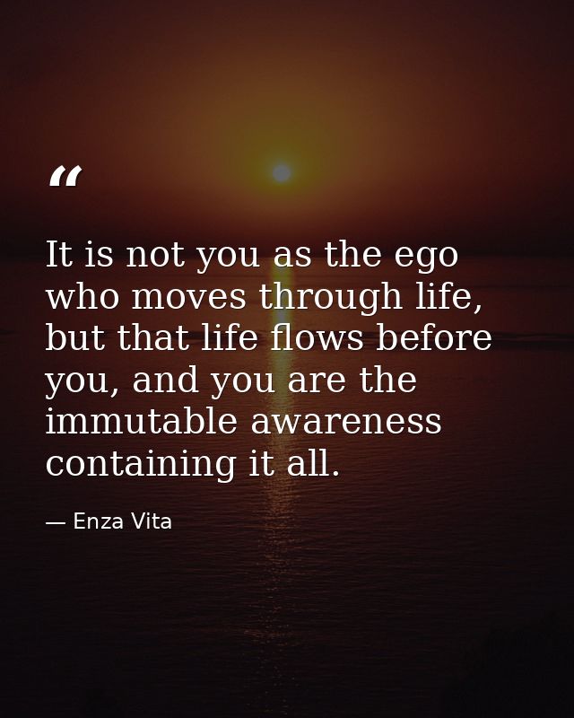It is not you as the ego who moves through life, but that life flows before you, and you are the immutable awareness con — Enza Vita