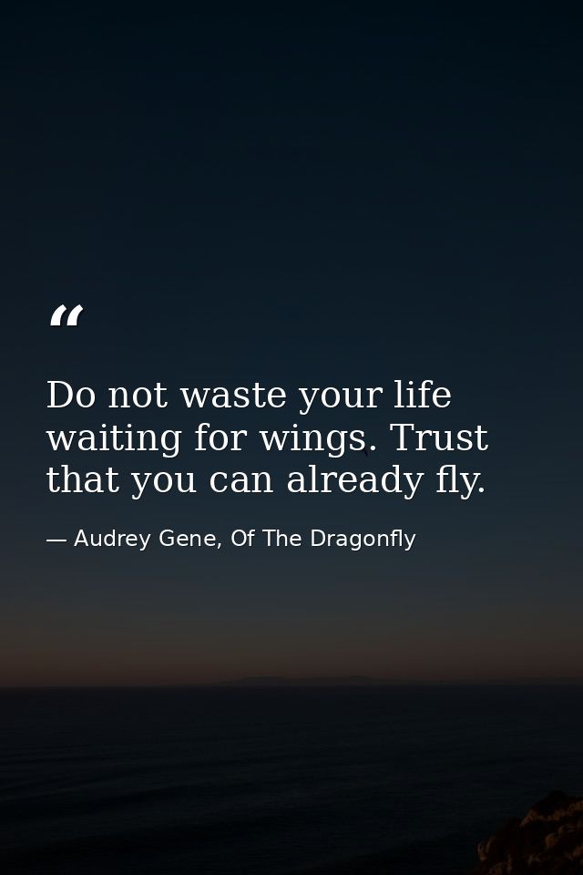 Do not waste your life waiting for wings. Trust that you can already fly. — Audrey Gene, Of The Dragonfly