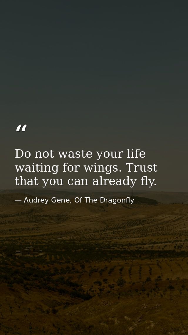 Do not waste your life waiting for wings. Trust that you can already fly. — Audrey Gene, Of The Dragonfly