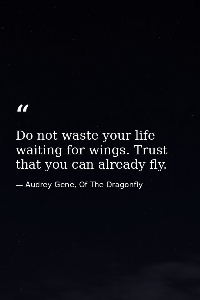 Do not waste your life waiting for wings. Trust that you can already fly. — Audrey Gene, Of The Dragonfly