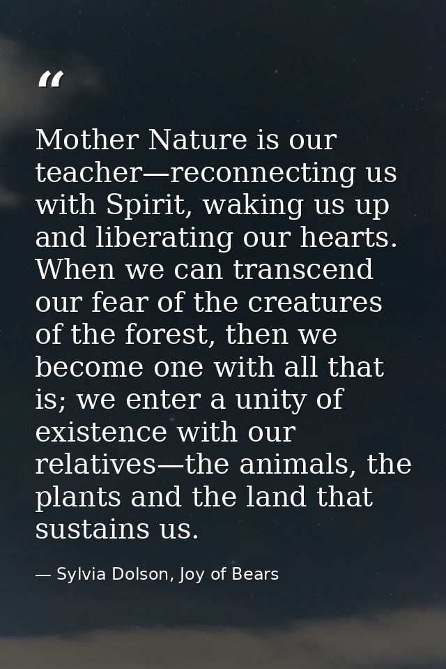 Mother Nature is our teacher—reconnecting us with Spirit, waking us up and liberating our hearts. When we can transcend  — Sylvia Dolson, Joy of Bears