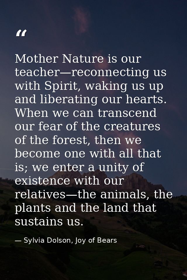 Mother Nature is our teacher—reconnecting us with Spirit, waking us up and liberating our hearts. When we can transcend  — Sylvia Dolson, Joy of Bears