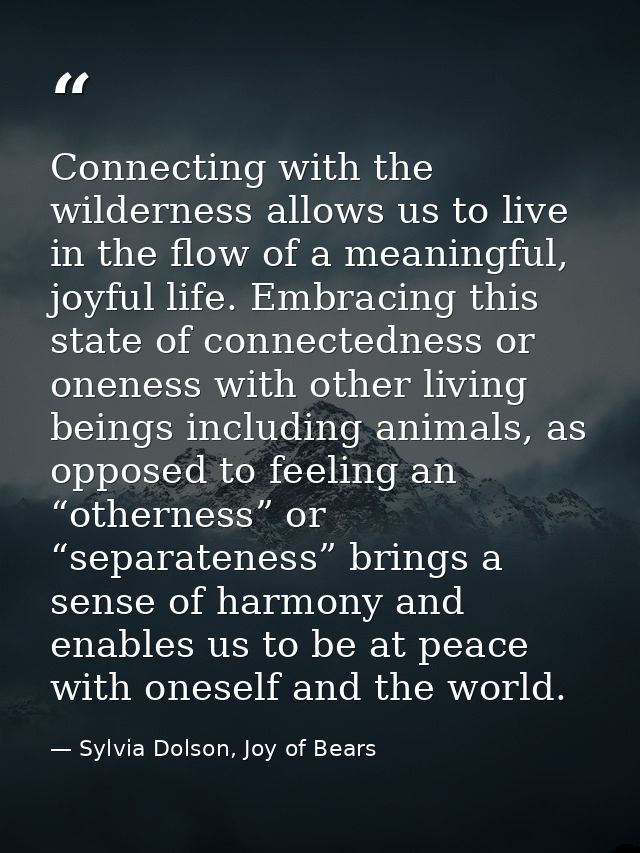 Connecting with the wilderness allows us to live in the flow of a meaningful, joyful life. Embracing this state of conne — Sylvia Dolson, Joy of Bears