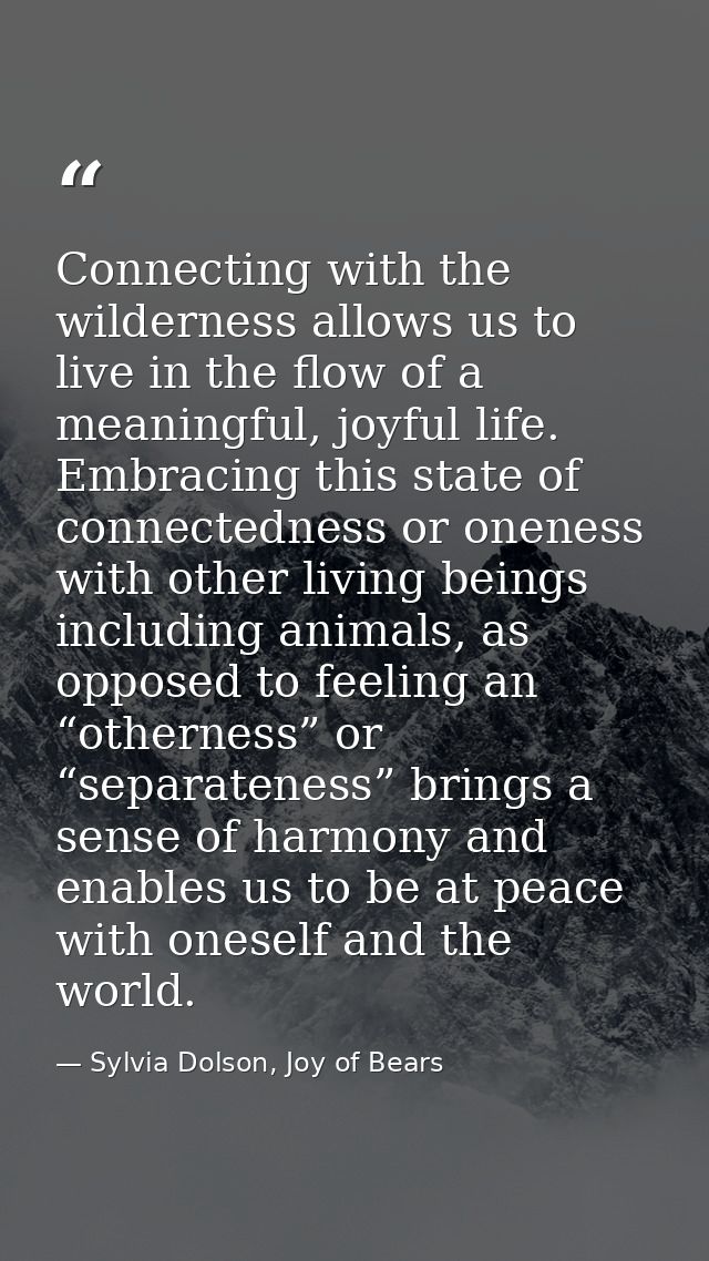 Connecting with the wilderness allows us to live in the flow of a meaningful, joyful life. Embracing this state of conne — Sylvia Dolson, Joy of Bears
