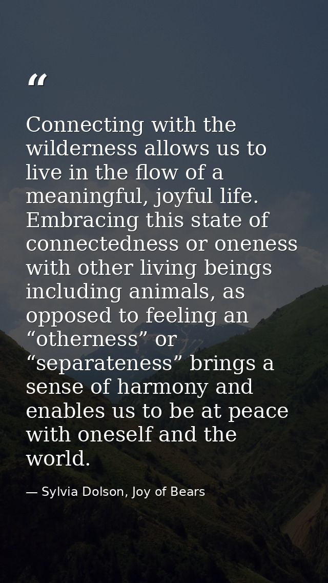 Connecting with the wilderness allows us to live in the flow of a meaningful, joyful life. Embracing this state of conne — Sylvia Dolson, Joy of Bears