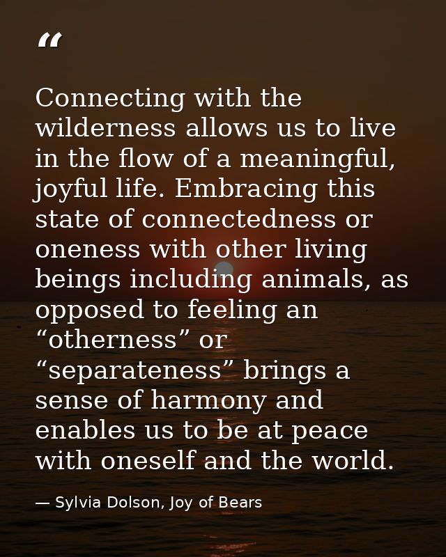 Connecting with the wilderness allows us to live in the flow of a meaningful, joyful life. Embracing this state of conne — Sylvia Dolson, Joy of Bears
