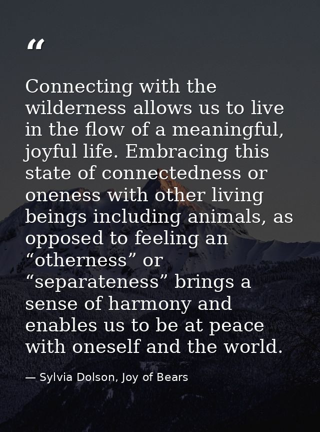 Connecting with the wilderness allows us to live in the flow of a meaningful, joyful life. Embracing this state of conne — Sylvia Dolson, Joy of Bears