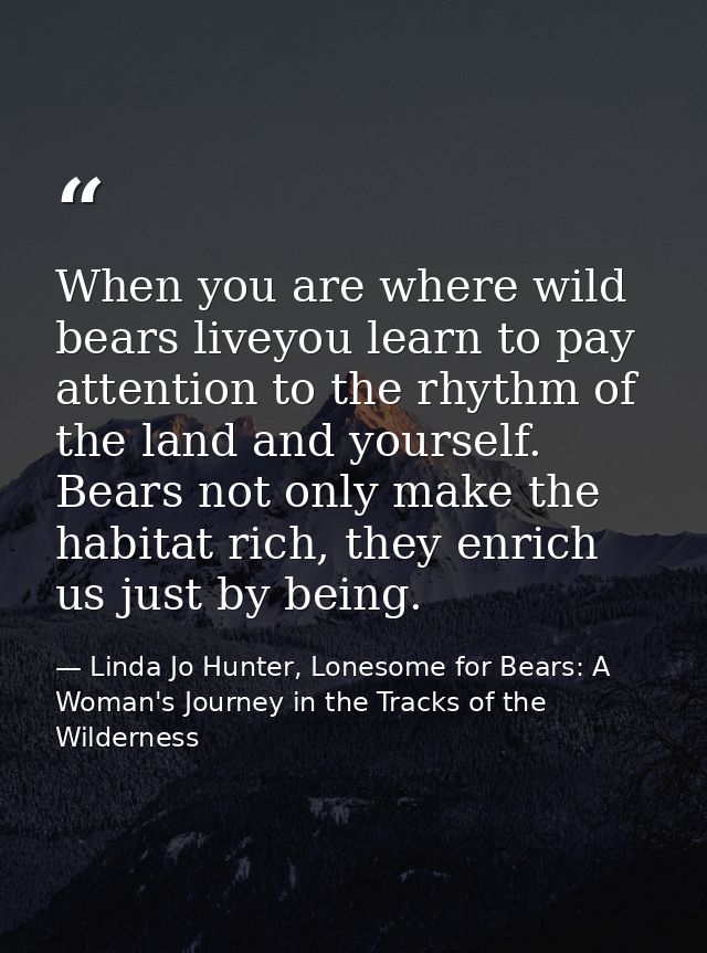 When you are where wild bears liveyou learn to pay attention to the rhythm of the land and yourself. Bears not only make — Linda Jo Hunter, Lonesome for Bears: A Woman's Journey in the Tracks of the Wilderness
