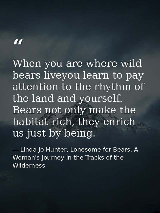 When you are where wild bears liveyou learn to pay attention to the rhythm of the land and yourself. Bears not only make — Linda Jo Hunter, Lonesome for Bears: A Woman's Journey in the Tracks of the Wilderness