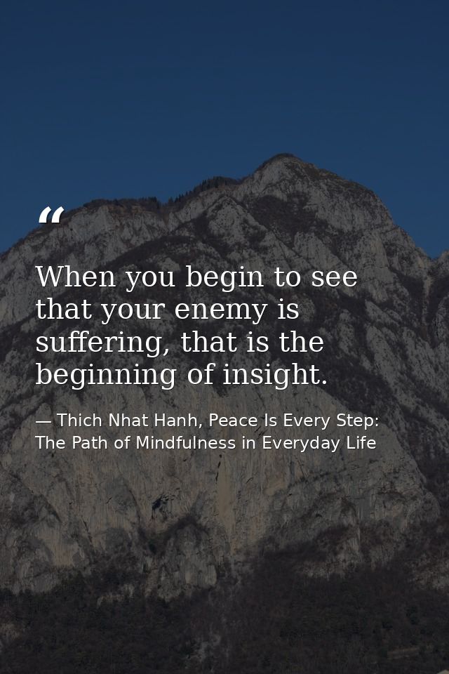 When you begin to see that your enemy is suffering, that is the beginning of insight. — Thich Nhat Hanh, Peace Is Every Step: The Path of Mindfulness in Everyday Life