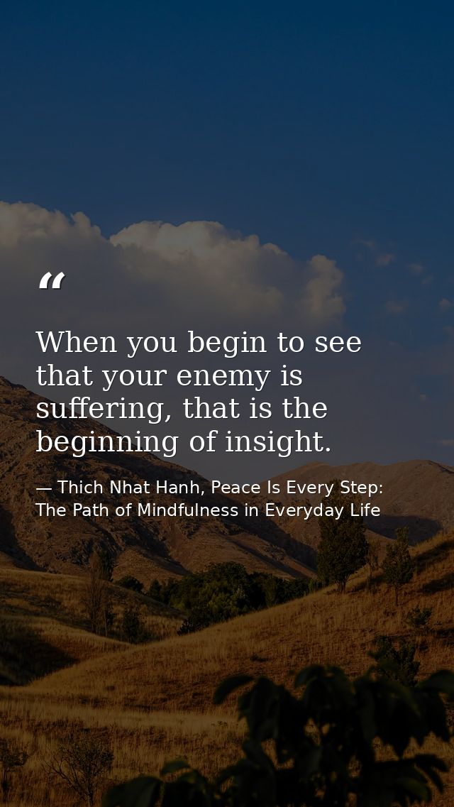 When you begin to see that your enemy is suffering, that is the beginning of insight. — Thich Nhat Hanh, Peace Is Every Step: The Path of Mindfulness in Everyday Life