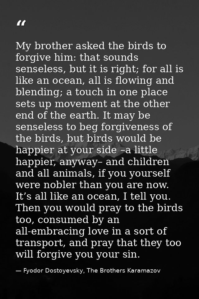 My brother asked the birds to forgive him: that sounds senseless, but it is right; for all is like an ocean, all is flow — Fyodor Dostoyevsky, The Brothers Karamazov