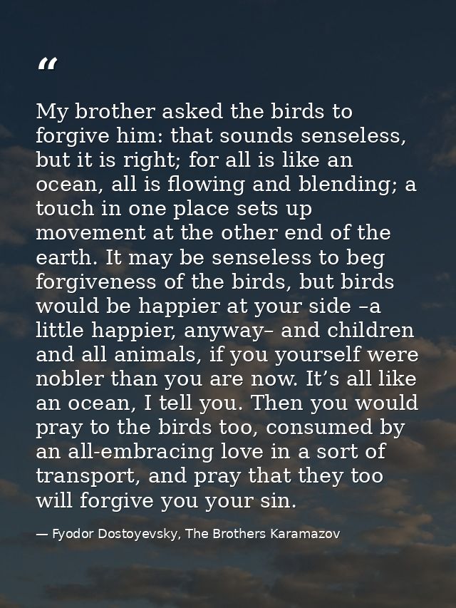 My brother asked the birds to forgive him: that sounds senseless, but it is right; for all is like an ocean, all is flow — Fyodor Dostoyevsky, The Brothers Karamazov