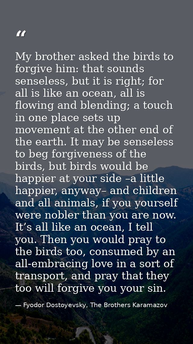 My brother asked the birds to forgive him: that sounds senseless, but it is right; for all is like an ocean, all is flow — Fyodor Dostoyevsky, The Brothers Karamazov