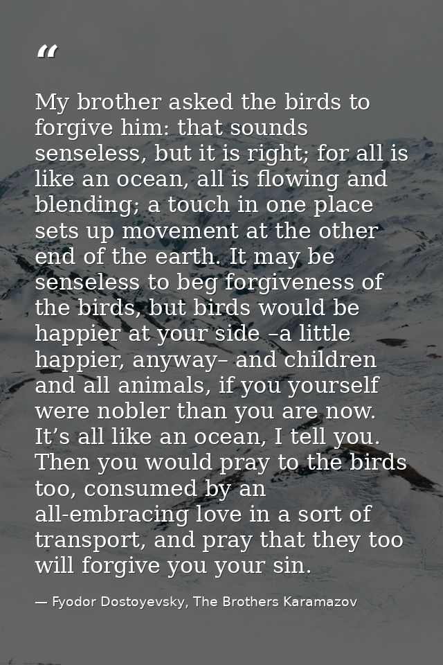 My brother asked the birds to forgive him: that sounds senseless, but it is right; for all is like an ocean, all is flow — Fyodor Dostoyevsky, The Brothers Karamazov