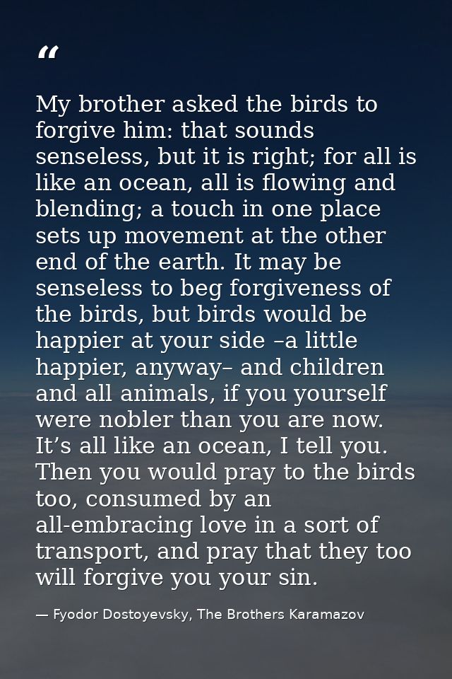 My brother asked the birds to forgive him: that sounds senseless, but it is right; for all is like an ocean, all is flow — Fyodor Dostoyevsky, The Brothers Karamazov