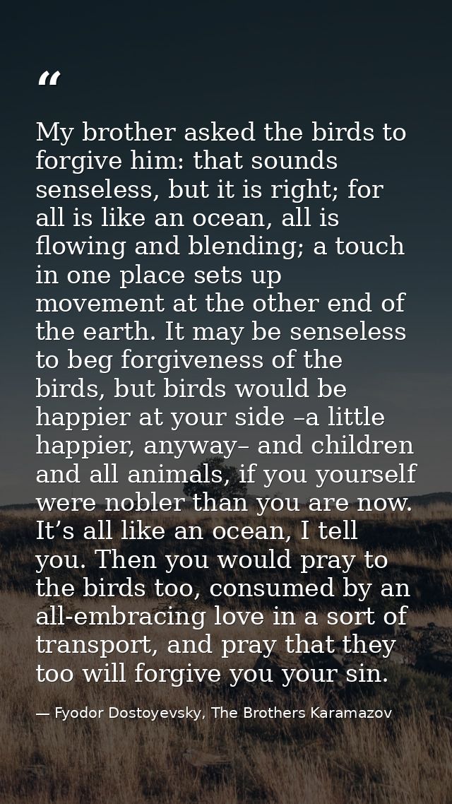 My brother asked the birds to forgive him: that sounds senseless, but it is right; for all is like an ocean, all is flow — Fyodor Dostoyevsky, The Brothers Karamazov