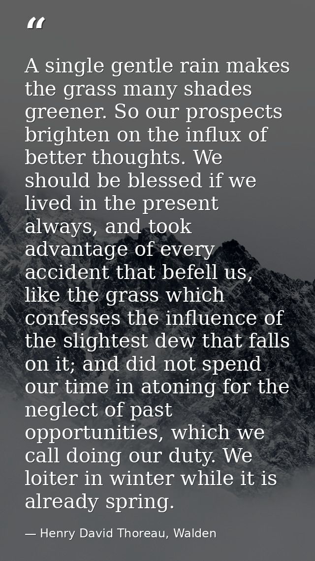 A single gentle rain makes the grass many shades greener. So our prospects brighten on the influx of better thoughts. We — Henry David Thoreau, Walden