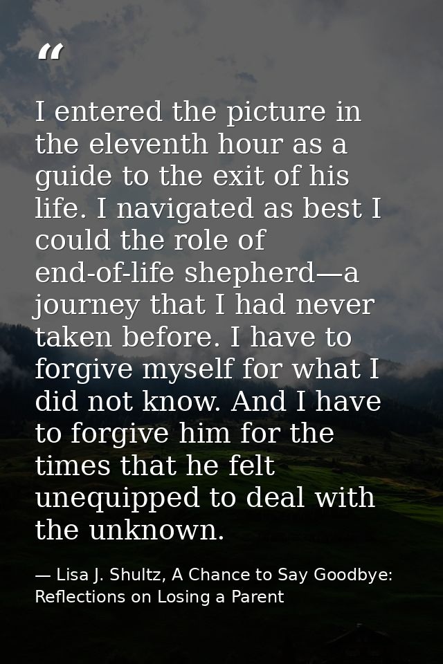 I entered the picture in the eleventh hour as a guide to the exit of his life. I navigated as best I could the role of e — Lisa J. Shultz, A Chance to Say Goodbye: Reflections on Losing a Parent