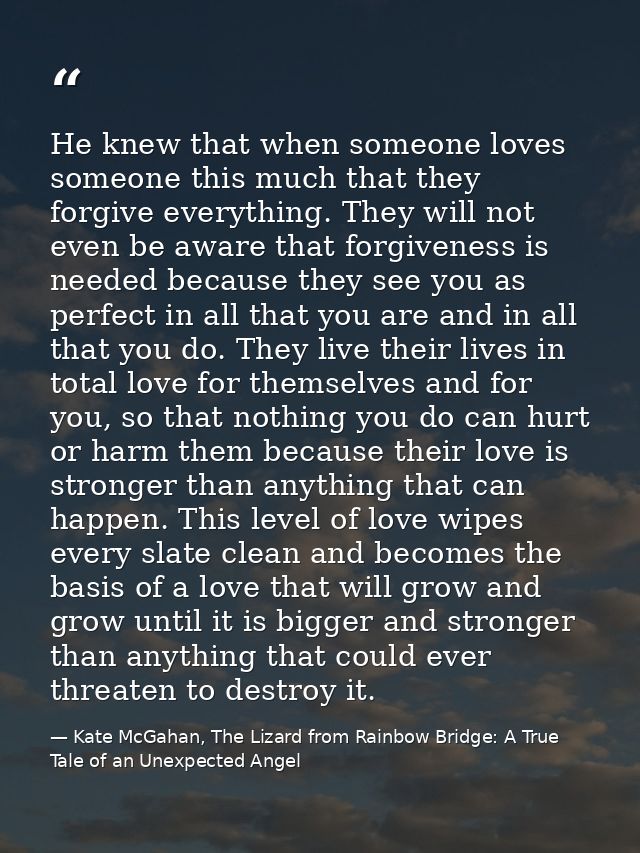 He knew that when someone loves someone this much that they forgive everything. They will not even be aware that forgive — Kate McGahan, The Lizard from Rainbow Bridge: A True Tale of an Unexpected Angel