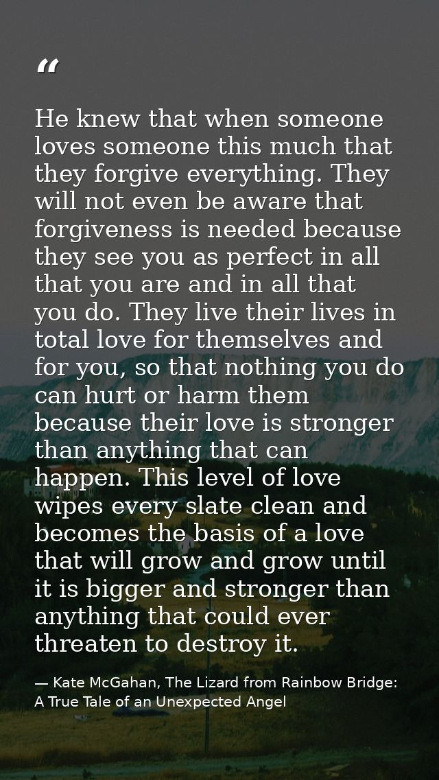 He knew that when someone loves someone this much that they forgive everything. They will not even be aware that forgive — Kate McGahan, The Lizard from Rainbow Bridge: A True Tale of an Unexpected Angel