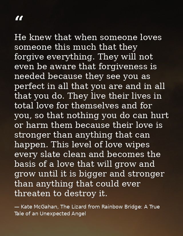 He knew that when someone loves someone this much that they forgive everything. They will not even be aware that forgive — Kate McGahan, The Lizard from Rainbow Bridge: A True Tale of an Unexpected Angel