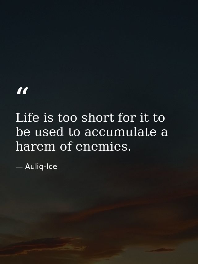 Life is too short for it to be used to accumulate a harem of enemies. — Auliq-Ice