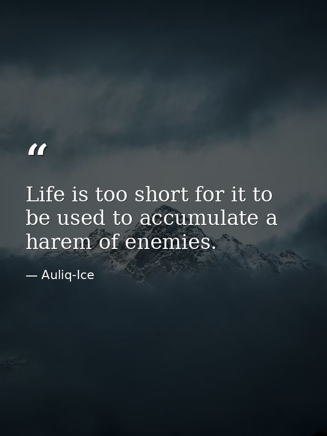 Life is too short for it to be used to accumulate a harem of enemies. — Auliq-Ice