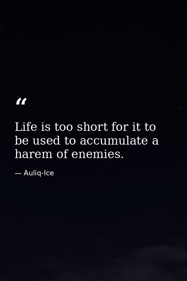 Life is too short for it to be used to accumulate a harem of enemies. — Auliq-Ice