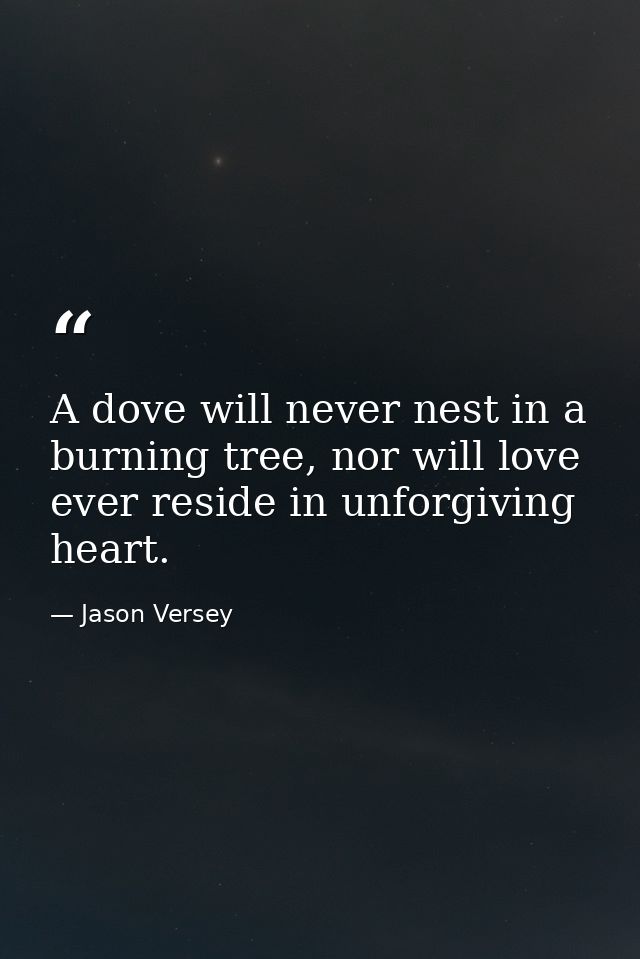 A dove will never nest in a burning tree, nor will love ever reside in unforgiving heart. — Jason Versey