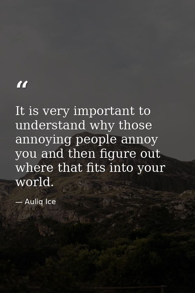 It is very important to understand why those annoying people annoy you and then figure out where that fits into your wor — Auliq Ice