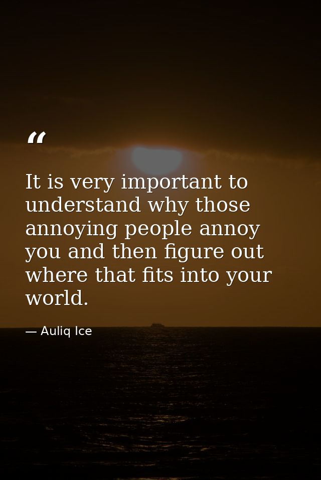It is very important to understand why those annoying people annoy you and then figure out where that fits into your wor — Auliq Ice