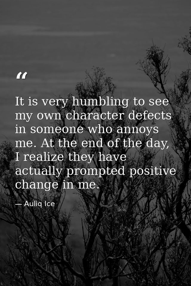 It is very humbling to see my own character defects in someone who annoys me. At the end of the day, I realize they have — Auliq Ice