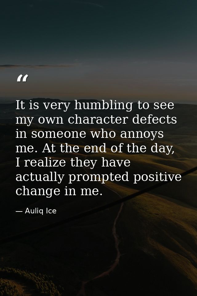 It is very humbling to see my own character defects in someone who annoys me. At the end of the day, I realize they have — Auliq Ice