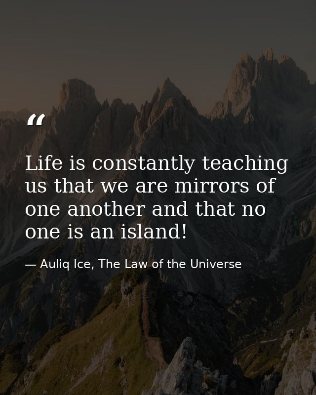 Life is constantly teaching us that we are mirrors of one another and that no one is an island! — Auliq Ice, The Law of the Universe