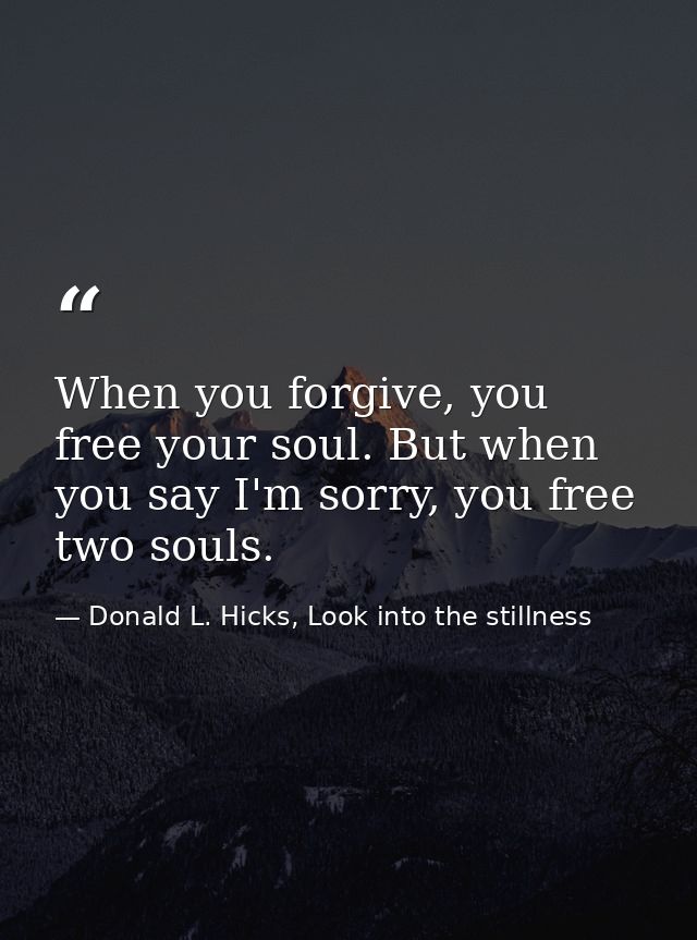 When you forgive, you free your soul. But when you say I'm sorry, you free two souls. — Donald L. Hicks, Look into the stillness