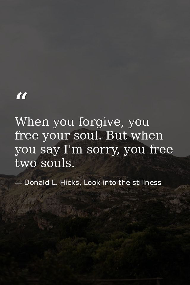 When you forgive, you free your soul. But when you say I'm sorry, you free two souls. — Donald L. Hicks, Look into the stillness