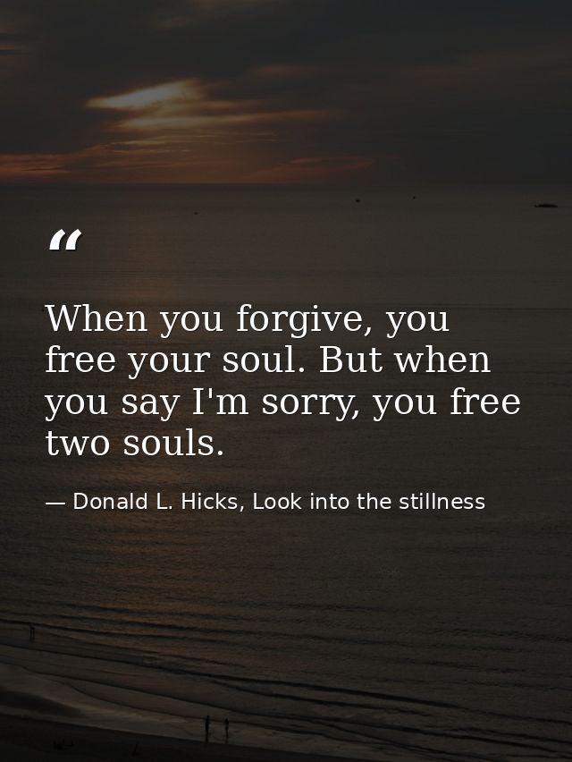 When you forgive, you free your soul. But when you say I'm sorry, you free two souls. — Donald L. Hicks, Look into the stillness