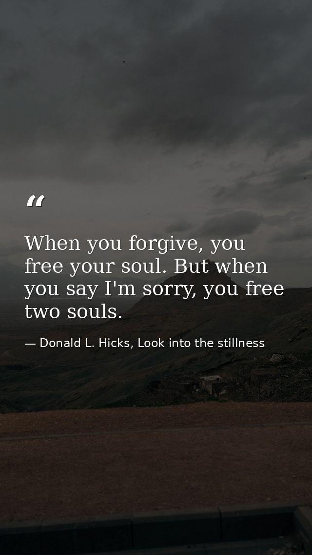When you forgive, you free your soul. But when you say I'm sorry, you free two souls. — Donald L. Hicks, Look into the stillness