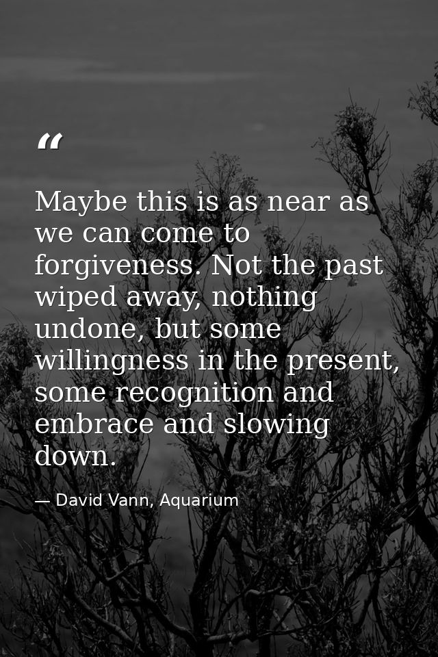 Maybe this is as near as we can come to forgiveness. Not the past wiped away, nothing undone, but some willingness in th — David Vann, Aquarium