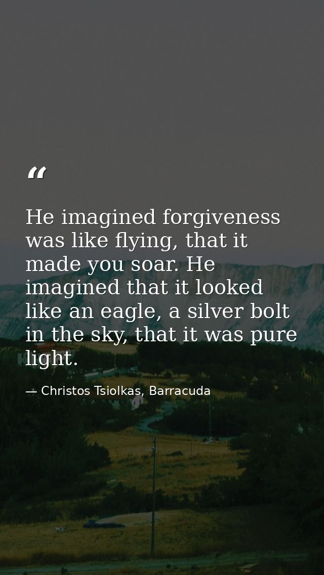 He imagined forgiveness was like flying, that it made you soar. He imagined that it looked like an eagle, a silver bolt  — Christos Tsiolkas, Barracuda