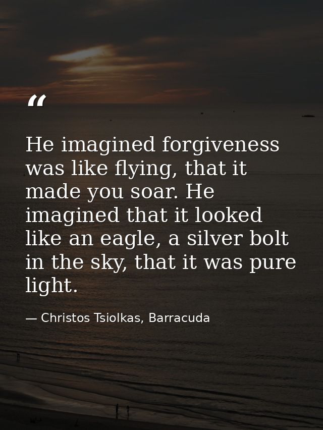 He imagined forgiveness was like flying, that it made you soar. He imagined that it looked like an eagle, a silver bolt  — Christos Tsiolkas, Barracuda