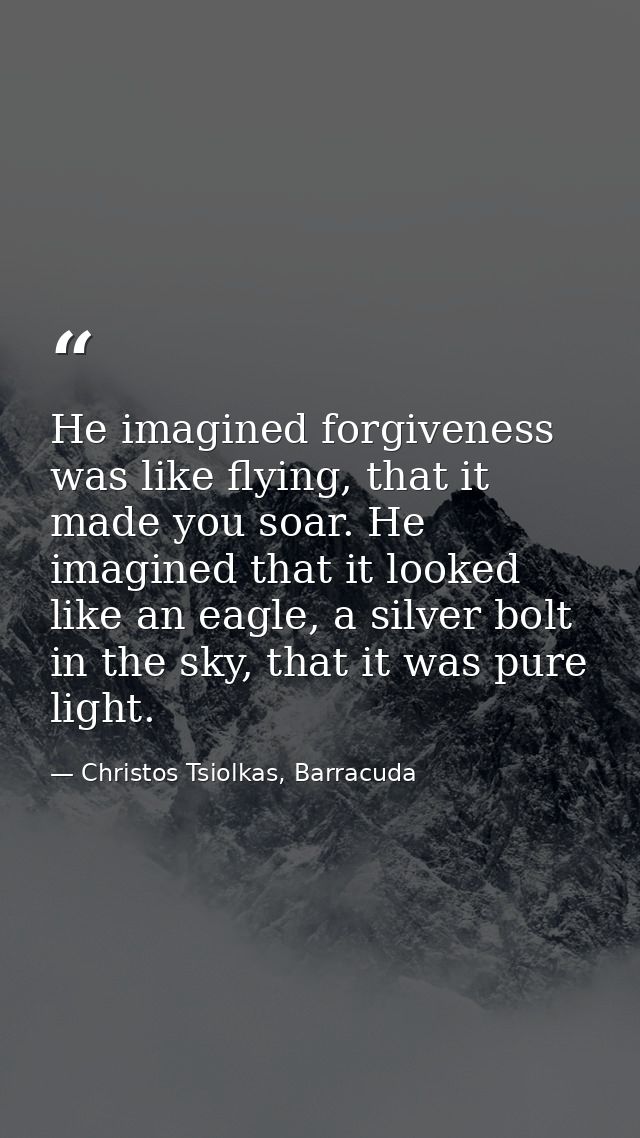 He imagined forgiveness was like flying, that it made you soar. He imagined that it looked like an eagle, a silver bolt  — Christos Tsiolkas, Barracuda