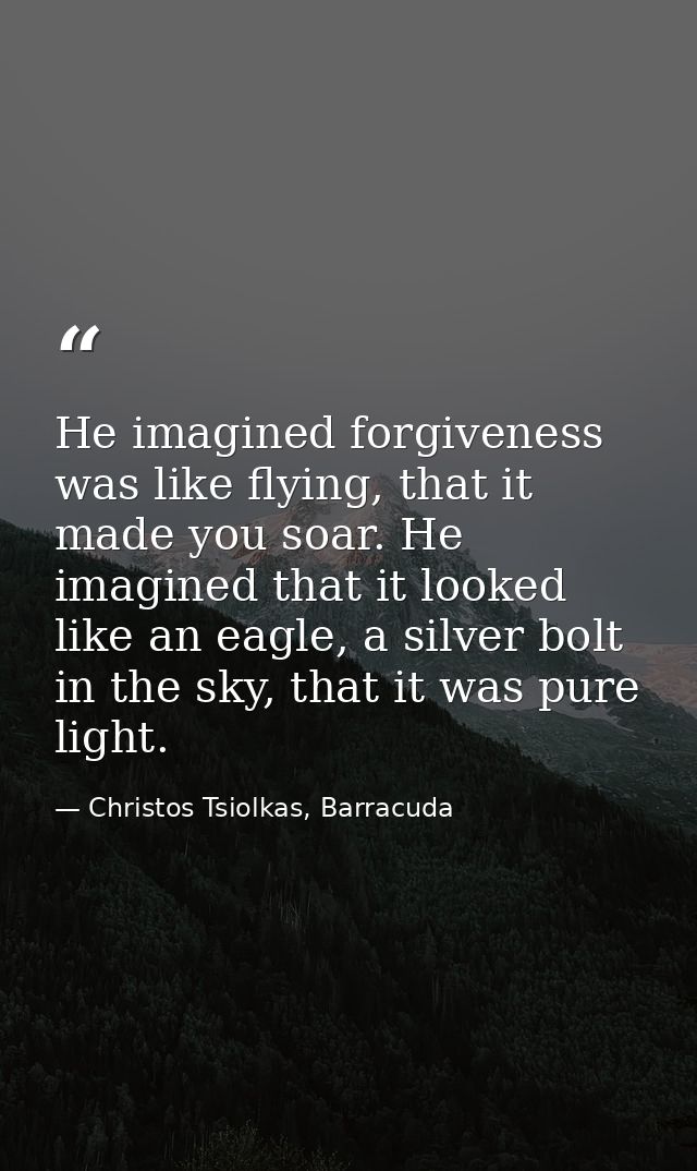 He imagined forgiveness was like flying, that it made you soar. He imagined that it looked like an eagle, a silver bolt  — Christos Tsiolkas, Barracuda