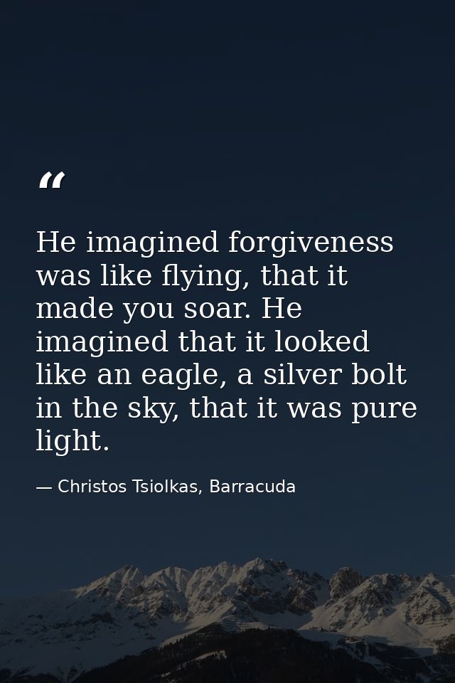 He imagined forgiveness was like flying, that it made you soar. He imagined that it looked like an eagle, a silver bolt  — Christos Tsiolkas, Barracuda