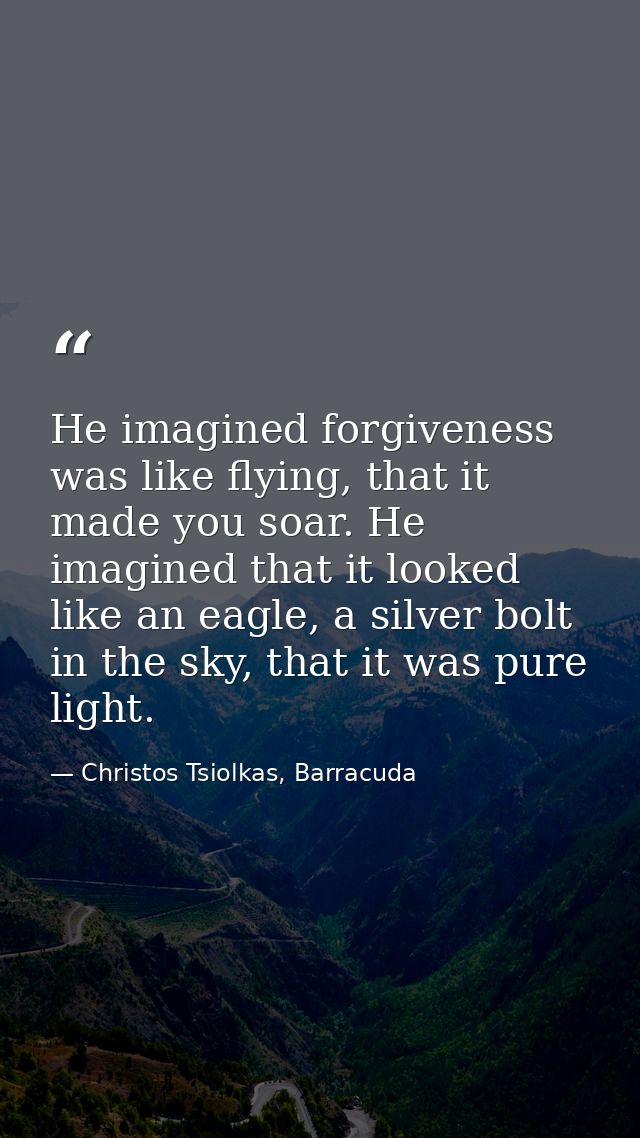 He imagined forgiveness was like flying, that it made you soar. He imagined that it looked like an eagle, a silver bolt  — Christos Tsiolkas, Barracuda