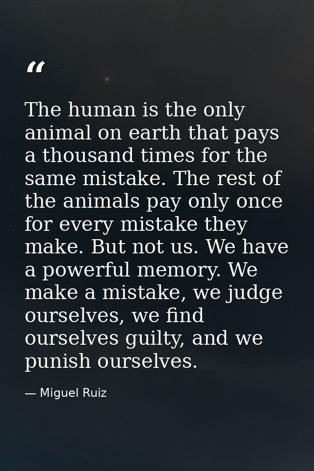 The human is the only animal on earth that pays a thousand times for the same mistake. The rest of the animals pay only  — Miguel Ruiz