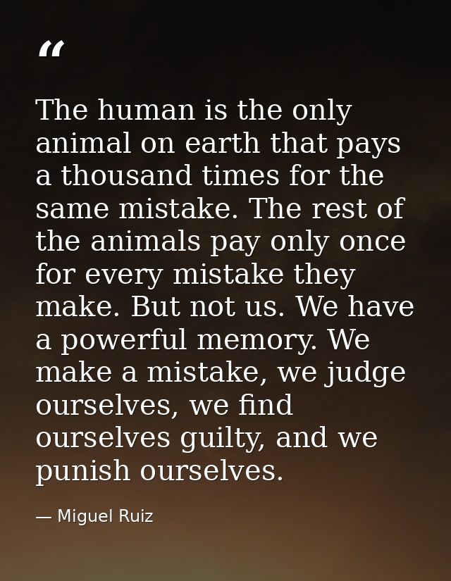 The human is the only animal on earth that pays a thousand times for the same mistake. The rest of the animals pay only  — Miguel Ruiz