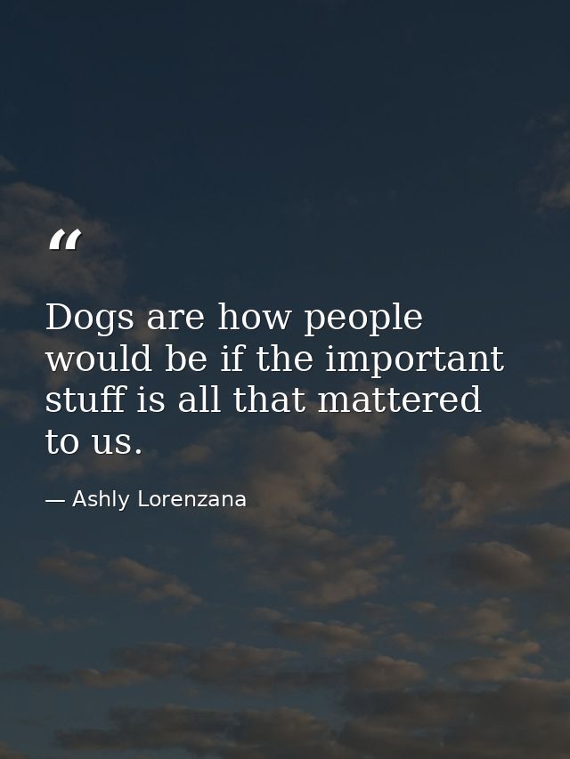 Dogs are how people would be if the important stuff is all that mattered to us. — Ashly Lorenzana