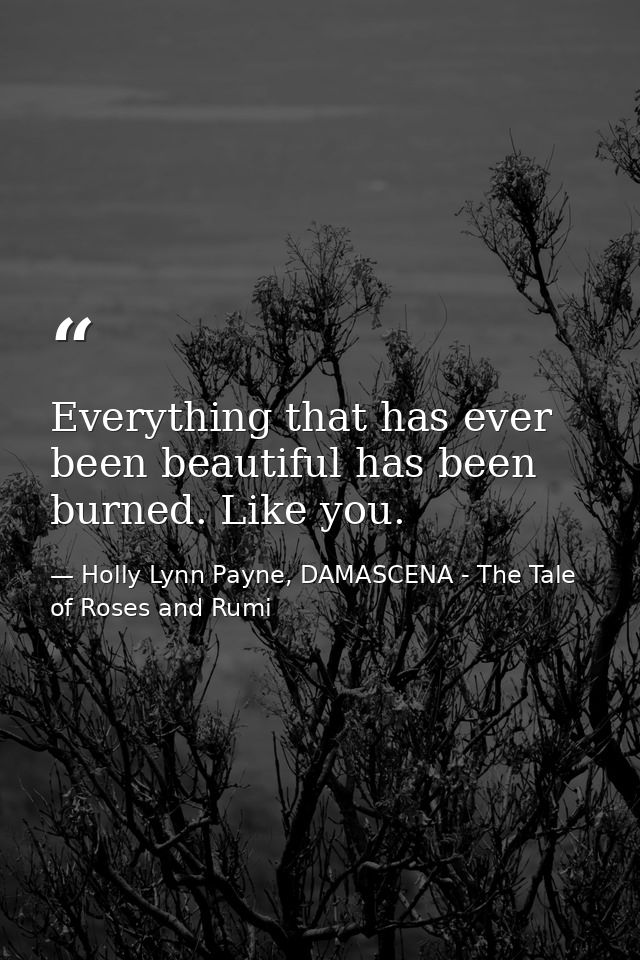 Everything that has ever been beautiful has been burned. Like you. — Holly Lynn Payne, DAMASCENA - The Tale of Roses and Rumi